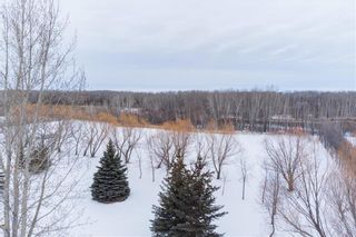 Photo 34: 601 Stone Church Road in St Clements: East Selkirk Residential for sale (R02)  : MLS®# 202227822