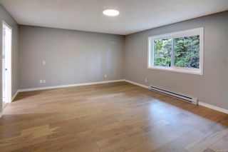 Photo 19: 1265 Tall Tree Pl in Saanich: SW Strawberry Vale House for sale (Saanich West)  : MLS®# 901906