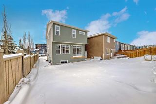 Photo 32: 22 Lucas Way NW in Calgary: Livingston Detached for sale : MLS®# A2118004