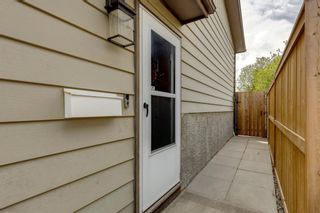 Photo 39: 43 Bernard Close NW in Calgary: Beddington Heights Detached for sale : MLS®# A1219607