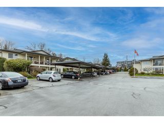 Photo 35: 43 6467 197 STREET in Langley: House for sale : MLS®# R2863412