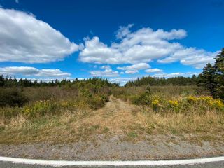 Photo 2: Lot Highway 320 in D'Escousse: 305-Richmond County / St. Peters Vacant Land for sale (Highland Region)  : MLS®# 202401544