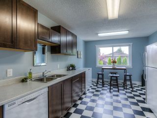 Photo 4: 20362 DALE Drive in Maple Ridge: Southwest Maple Ridge House for sale : MLS®# V1070411