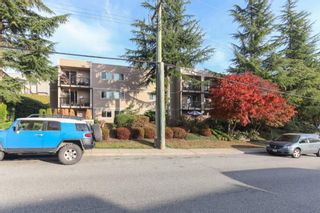 Photo 3: 303 1121 HOWIE AVENUE in Coquitlam: Central Coquitlam Condo for sale : MLS®# R2218435