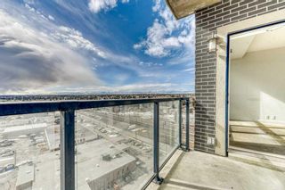 Photo 20: 1302 8880 Horton Road SW in Calgary: Haysboro Apartment for sale : MLS®# A2115962