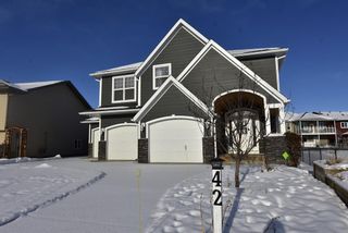 Photo 33: 42 Deer Coulee Drive: Didsbury Detached for sale : MLS®# A1173693