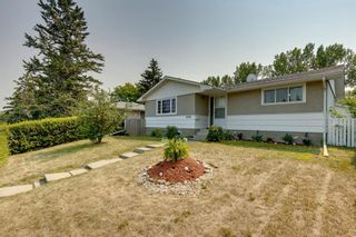 Photo 42: 4435 Greenview Drive NE Calgary Home For Sale