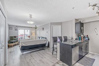 Photo 13: 303 7180 80 Avenue NE in Calgary: Saddle Ridge Apartment for sale : MLS®# A2023419