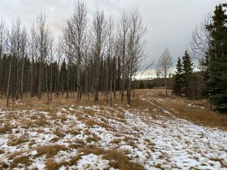 Photo 5: Lot 3 South of Jamieson Road in Rural Bighorn No. 8, M.D. of: Rural Bighorn M.D. Residential Land for sale : MLS®# A1176585