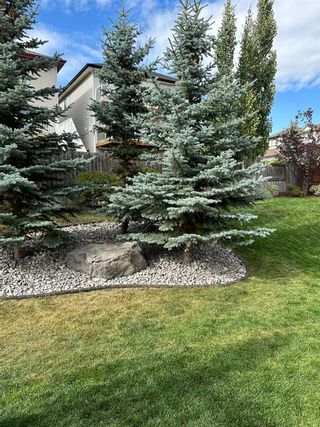 Photo 37: 25 Panamount Rise NW in Calgary: Panorama Hills Detached for sale : MLS®# A2130885