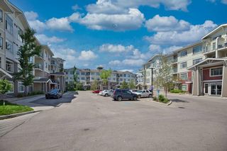 Photo 28: 301 16 Auburn Bay Link SE in Calgary: Auburn Bay Apartment for sale : MLS®# A2099746