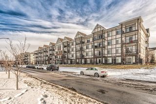 Photo 35: 303 6603 New Brighton Avenue SE in Calgary: New Brighton Apartment for sale : MLS®# A1165931