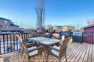 Photo 42: 280 WEST CREEK Drive: Chestermere Detached for sale : MLS®# A1062594