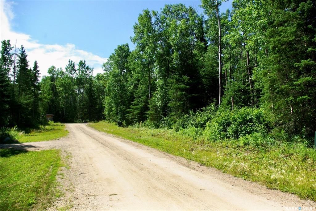 Main Photo: 1207 Laurie Place in Paddockwood: Lot/Land for sale (Paddockwood Rm No. 520)  : MLS®# SK895970