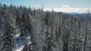Photo 18: DL 801 HIGHWAY 3B in Rossland: Vacant Land for sale : MLS®# 2474556