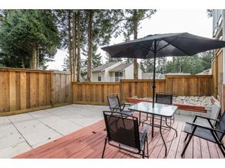Photo 22: 22 3075 TRETHEWEY Street in Abbotsford: Abbotsford West Townhouse for sale in "SILKWOOD ESTATES" : MLS®# R2536330