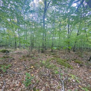 Photo 7: Lot 82 Sparkling Spring Lane in Labelle: 406-Queens County Vacant Land for sale (South Shore)  : MLS®# 202306324