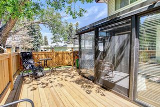 Photo 21: 311 Whitehorn Place in Calgary: Whitehorn Detached for sale : MLS®# A1240329