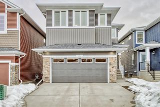 Main Photo: 84 Redstone Link NE in Calgary: Redstone Detached for sale : MLS®# A2024852