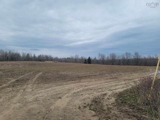 Photo 6: 60 acres Glen East Road in Central Caribou: 108-Rural Pictou County Vacant Land for sale (Northern Region)  : MLS®# 202407757