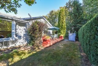 Photo 27: 1564 Hurford Ave in Courtenay: CV Courtenay East House for sale (Comox Valley)  : MLS®# 916158