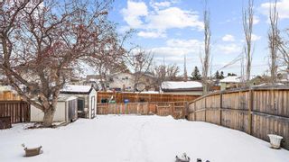 Photo 31: 300 Berwick Drive NW in Calgary: Beddington Heights Detached for sale : MLS®# A2118693
