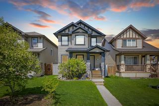 Main Photo: 46 Skyview Point Road NE in Calgary: Skyview Ranch Detached for sale : MLS®# A2136906