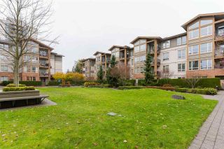 Photo 20: 316 1111 E 27TH Street in North Vancouver: Lynn Valley Condo for sale in "Branches" : MLS®# R2523279