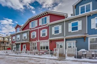 Photo 1: 1006 10 AUBURN BAY Avenue SE in Calgary: Auburn Bay House for sale : MLS®# C4161245