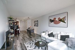 Photo 17: 1017 8880 Horton Road SW in Calgary: Haysboro Apartment for sale : MLS®# A1223060