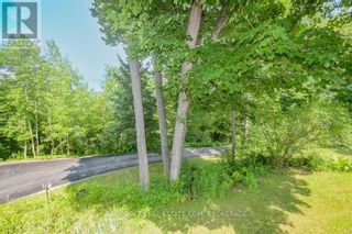 Photo 13: 27228 HIGHWAY 28  S in Highlands East: House for sale : MLS®# X6719916
