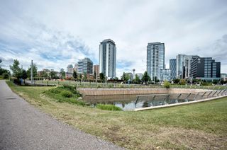 Photo 45: 315 510 6 Avenue SE in Calgary: Downtown East Village Apartment for sale : MLS®# A1012779