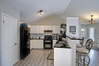Photo 15: 71 Mt Aberdeen Link SE in Calgary: McKenzie Lake Detached for sale : MLS®# A1151919
