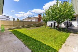 Photo 43: 11407 111A Avenue in Edmonton: Zone 08 House for sale : MLS®# E4297039