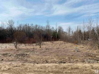 Photo 4: 14,15,16 Summer Haven: Rural Wetaskiwin County Rural Land/Vacant Lot for sale : MLS®# E4289881