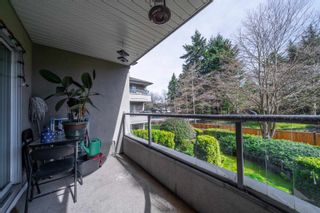 Photo 20: 208 7475 138 Street in Surrey: East Newton Condo for sale in "Cardinal Court" : MLS®# R2860380