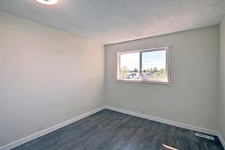 Photo 26: 332 Abinger Crescent NE in Calgary: Abbeydale Detached for sale : MLS®# A1258594