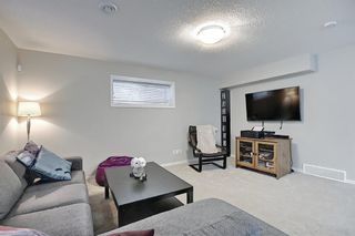 Photo 45: 138 Nolanshire Crescent NW in Calgary: Nolan Hill Detached for sale : MLS®# A1100424