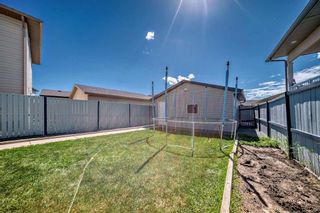 Photo 40: 271 Martindale Drive NE in Calgary: Martindale Detached for sale : MLS®# A2138652