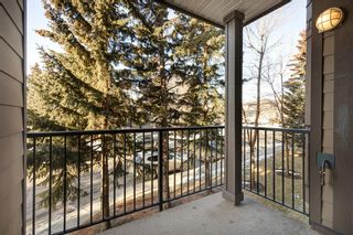Photo 29: 211 3810 43 Street SW in Calgary: Glenbrook Apartment for sale : MLS®# A2019581