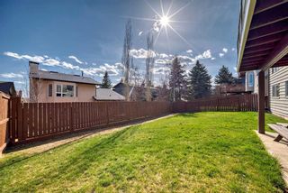 Photo 4: 67 Edenwold Place NW in Calgary: Edgemont Detached for sale : MLS®# A2126964