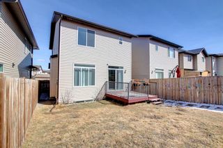 Photo 38: 139 Panora Road NW in Calgary: Panorama Hills Detached for sale : MLS®# A1199128