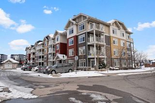 Main Photo: 1201 155 Skyview Ranch Way NE in Calgary: Skyview Ranch Apartment for sale : MLS®# A2117703