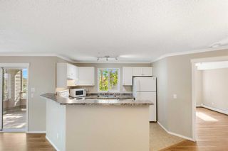 Photo 13: 214 4000 Somervale Court SW in Calgary: Somerset Apartment for sale : MLS®# A2081733