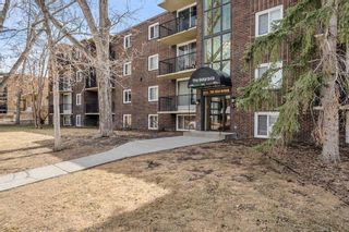 Photo 3: 305 635 57 Avenue SW in Calgary: Windsor Park Apartment for sale : MLS®# A2124917