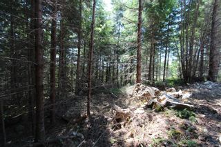 Photo 10: LOT 2 Olympic Dr in Shawnigan Lake: ML Shawnigan Land for sale (Malahat & Area)  : MLS®# 919124