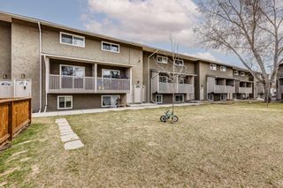 Main Photo: 34 8112 36 Avenue NW in Calgary: Bowness Row/Townhouse for sale : MLS®# A2128421