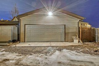 Photo 44: 40 Elgin Meadows View SE in Calgary: McKenzie Towne Semi Detached (Half Duplex) for sale : MLS®# A2104824