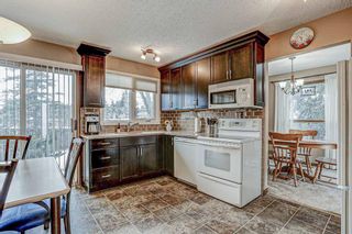 Photo 12: 87 Bermuda Close NW in Calgary: Beddington Heights Detached for sale : MLS®# A1073222