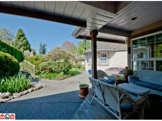 Photo 9: 14123 31A Avenue in Surrey: Elgin Chantrell House for sale (South Surrey White Rock)  : MLS®# F1212897